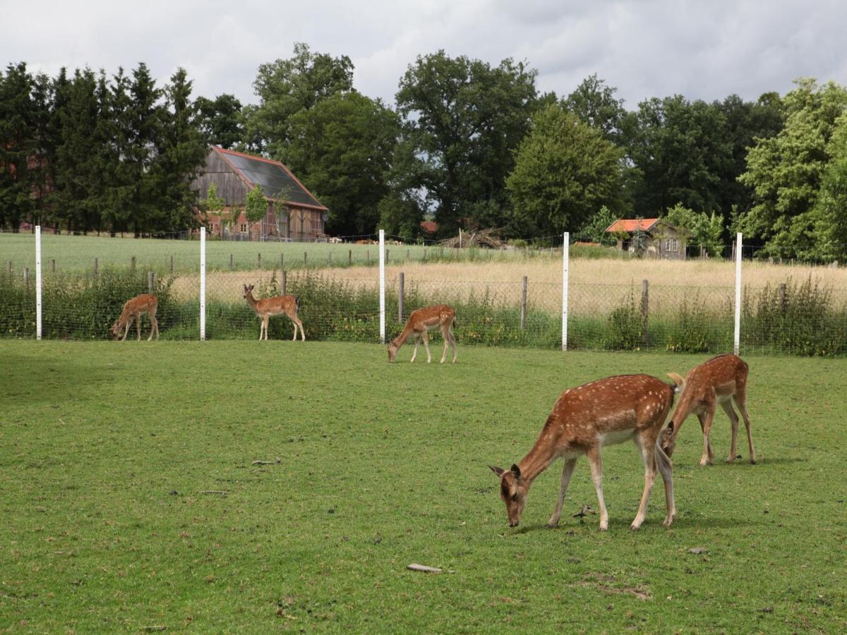 Gaeste Und Ferienhof Maas ดึลเมน ภายนอก รูปภาพ